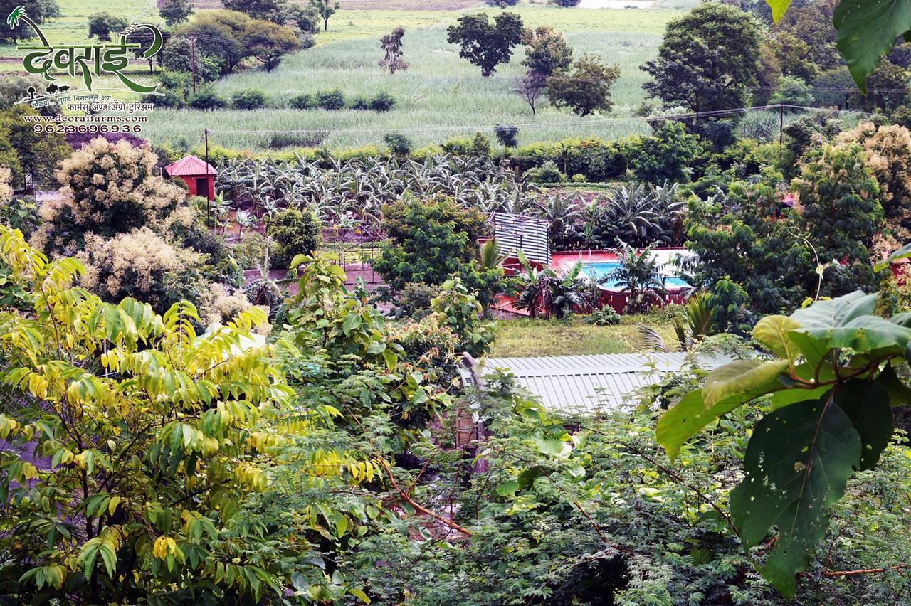 Deorai Farms And Agro Resort Pune Esterno foto